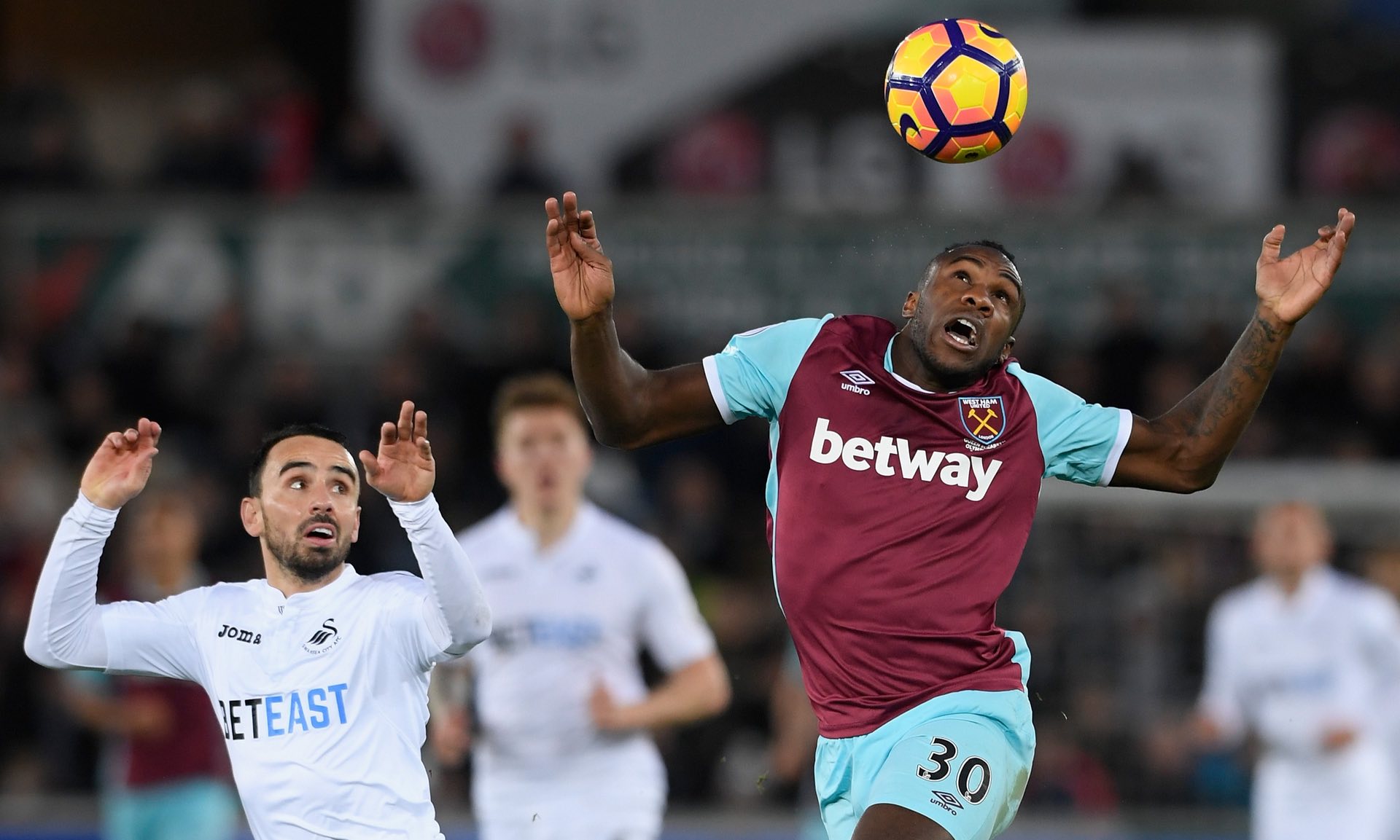 也为欧洲足 也为欧洲足